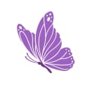 Studiva official butterfly icon